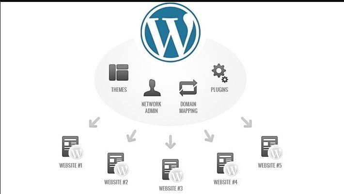 What is WordPress Multisite and how to add it? (Details)